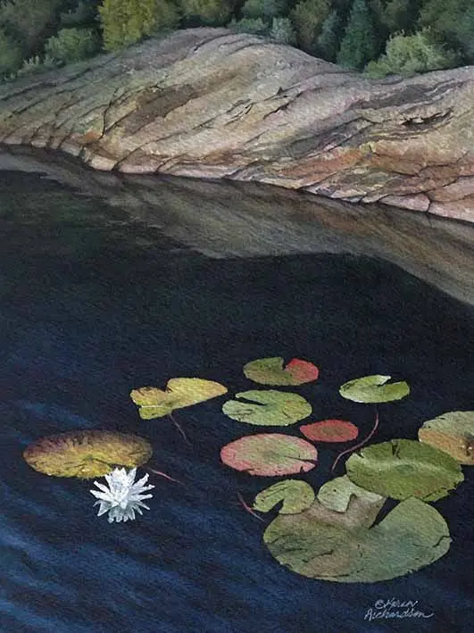 Georgian Bay Waterlily, 12 X 9", Watercolour On Panel (Sold) 1