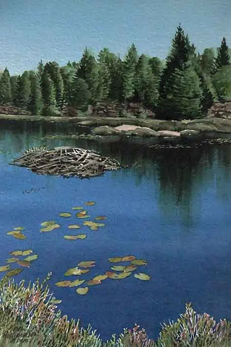 Northern Beaver Pond, 11 X 7" Watercolour With Mat (Sold) 1