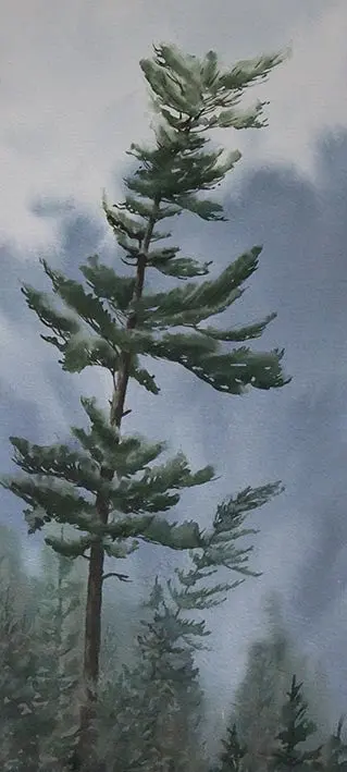 Temagami Timber, 20 X 9" Watercolour With Mat (Sold) 1