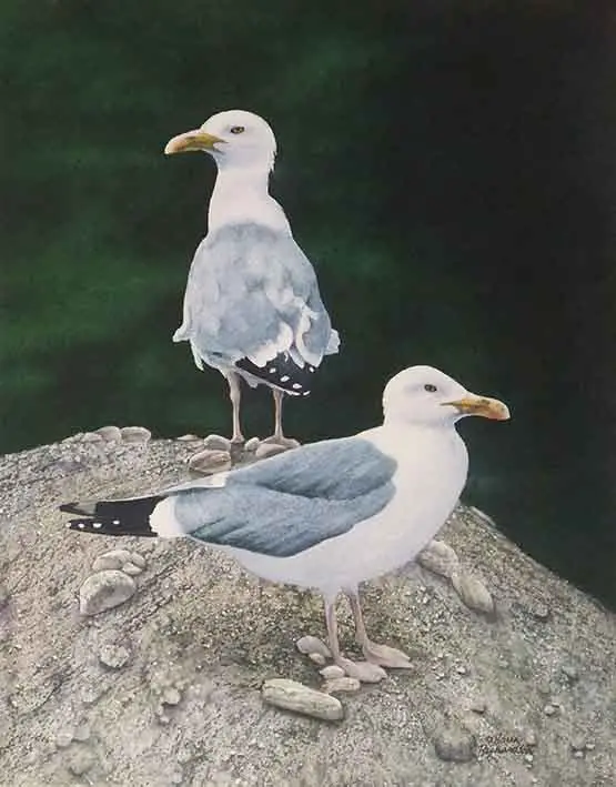 Defending High Ground, Watercolour On Panel, 14 X 11" (Sold) 1