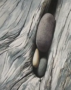Fitting In, Watercolour On Panel, 20 X 16" (Sold) 1