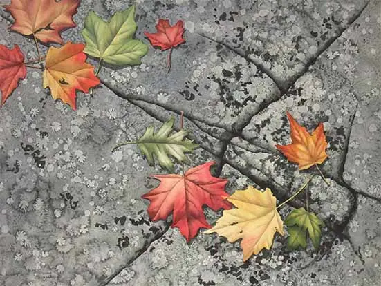 Leaves And Lichen, Watercolour On Panel, 18 X 24" 1