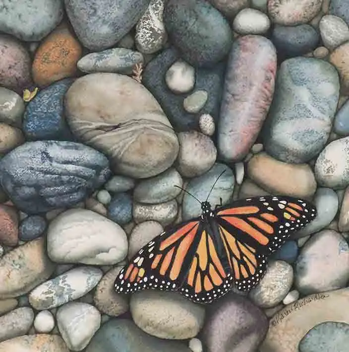 Monarch On The Rocks, Watercolour On Panel, 12 X 12" (Sold) 1