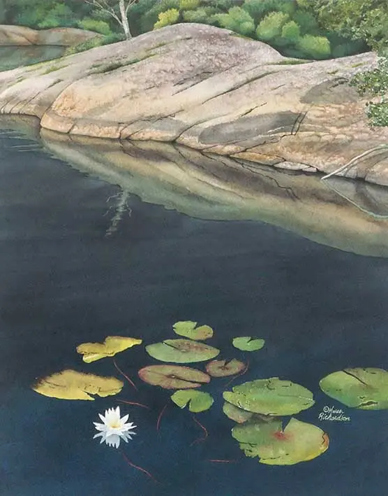 Stillwater Lily, Watercolour On Panel, 20 X 16" (Sold) 1