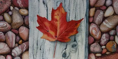 Canada Rocks! #1, Watercolour On Panel, 6 X 12" (Sold) 1