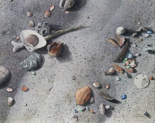 Seaside Treasures, Watercolour On Panel, 16 X 20" 1
