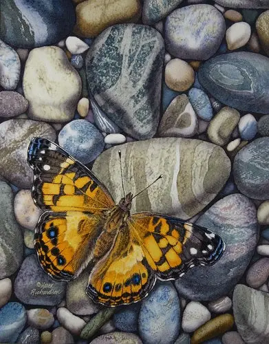 Superior Lady, Watercolour On Panel, 14 X 11" (Sold) 1