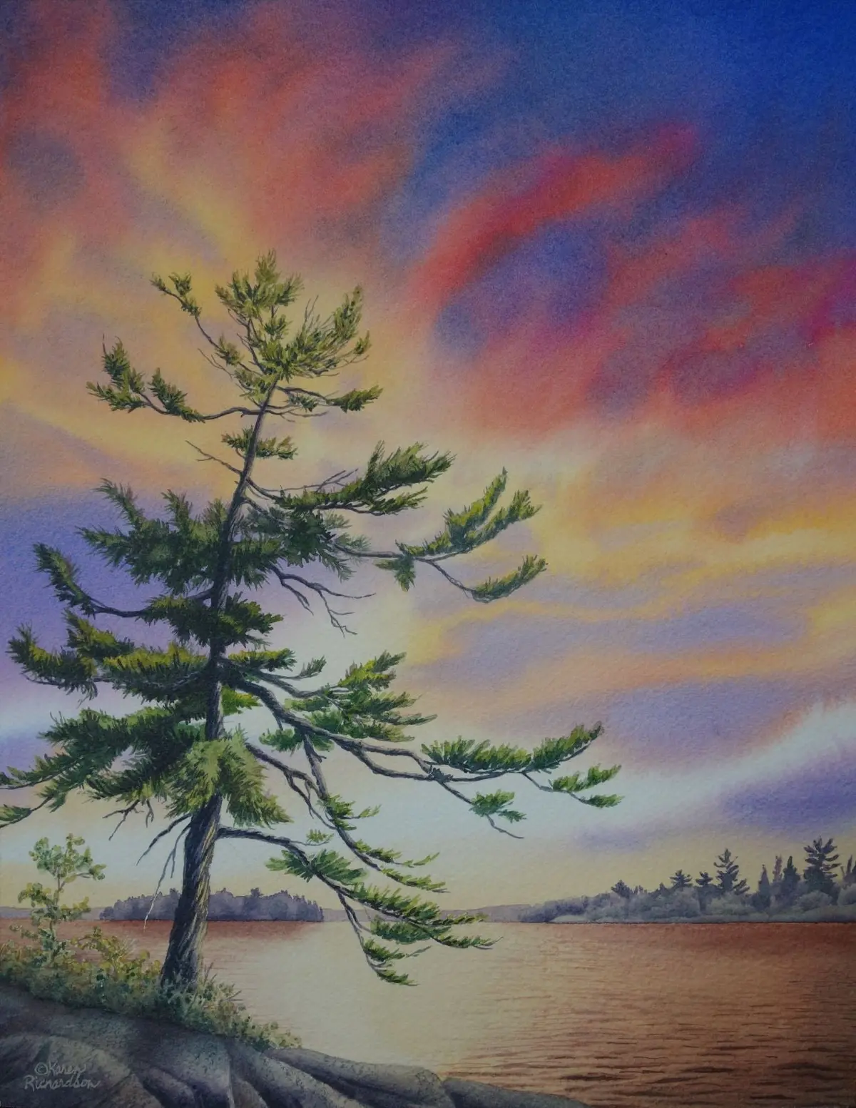 Nature's Gift, Watercolour On Panel, 14 X 11" 1