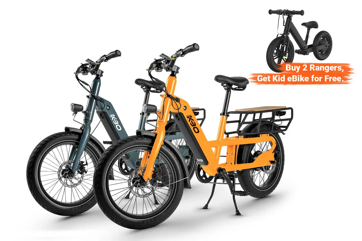 Electric Cargo Bike Kbo Ranger 1