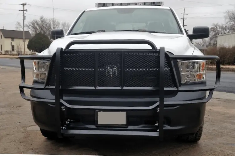 Thunder Struck Dodge Ram 1500 2009-2018 (Classic) Grille Guard Dld09-100 1