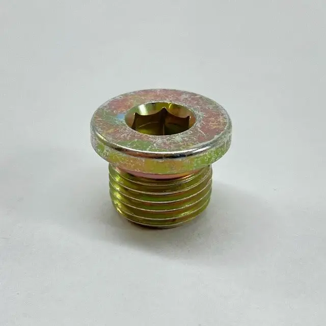 900 219 004 02 - Smog/Air Pump Delete - Screw Plug 1