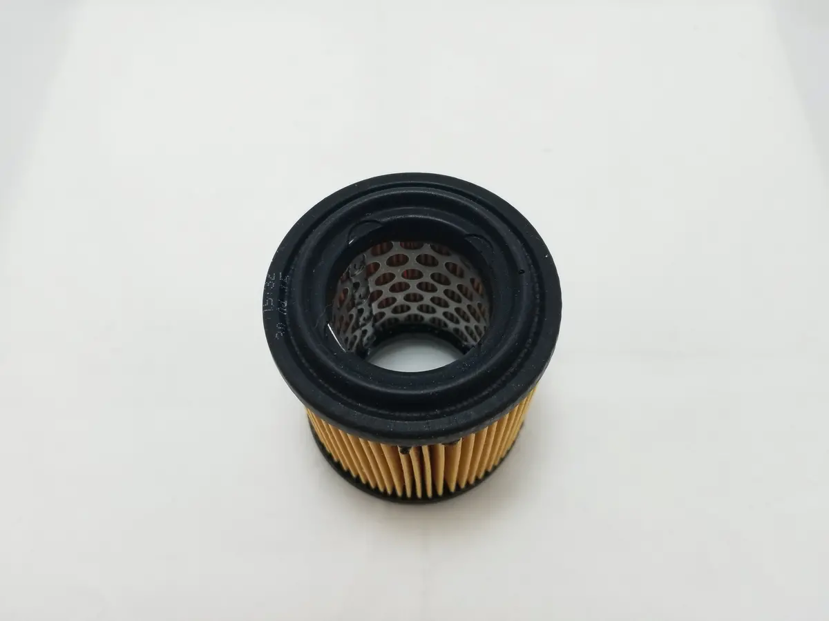 928 113 445 00 - Air/Smog Pump Filter - 78 To 95 1