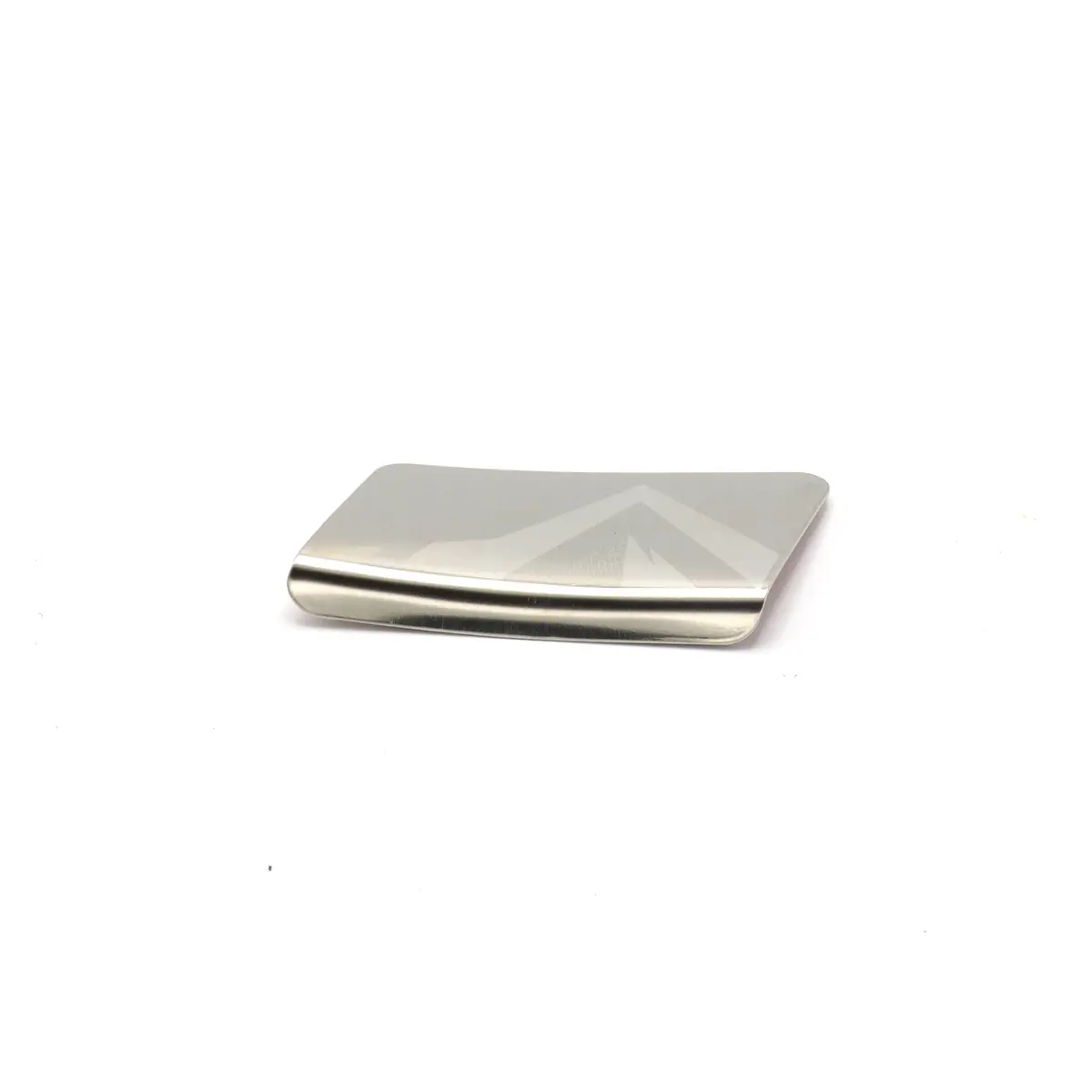Chain-Stay Stainless  Steel Protector Plate - Transonic My'19 1