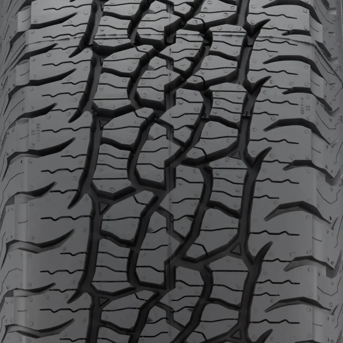 Bf Goodrich Trail Terrain T/A Tire 2