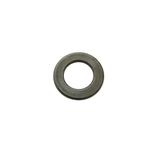 Snow Joe Sj803 Snow Thrower Flat Washer 1