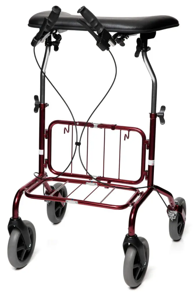 Rebel Trolley Walker 1